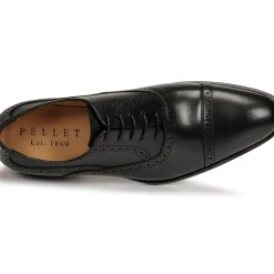 Pellet - ALEX