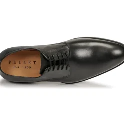 Pellet - ALIBI