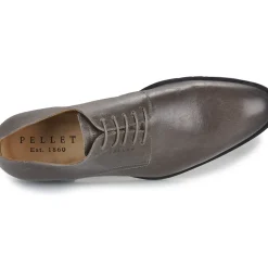 Pellet - ALIBI