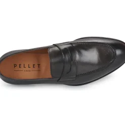 Pellet - AUGUSTE