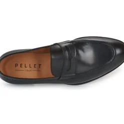 Pellet - AUGUSTE