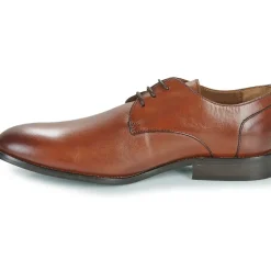 Pellet - BILLY
