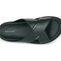 Pellet - FELIPE