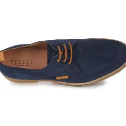 Pellet - GREG