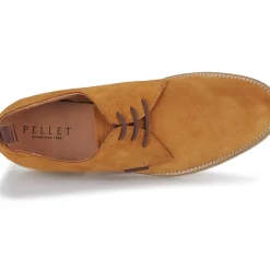 Pellet - GREG