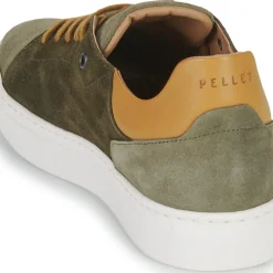 Pellet - JOSEPH