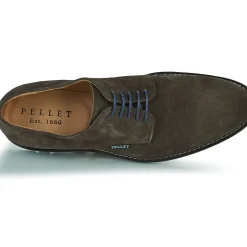Pellet - Nautilus