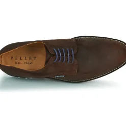 Pellet - Nautilus