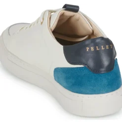 Pellet - SIMON