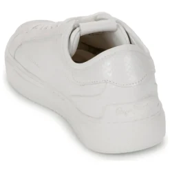 Pepe jeans - ADAMS SNAKY