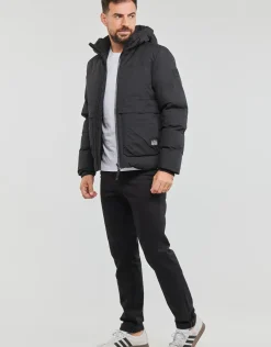 Petrol Industries - MEN JACKET PADDED