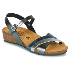 Plakton - NORTE
