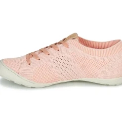 PLDM by Palladium - GLORIEUSE