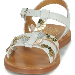 Pom d'Api - PLAGETTE MULTI DAISY