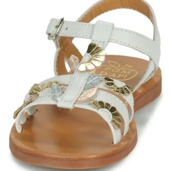 Pom d'Api - PLAGETTE MULTI DAISY