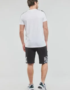 Puma - INLINE