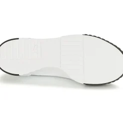 Puma - CALI