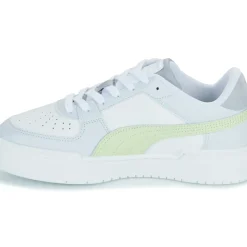 Puma - CA PRO