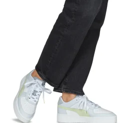 Puma - CA PRO