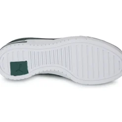 Puma - CA PRO