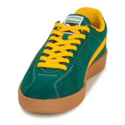 Puma - Delphin