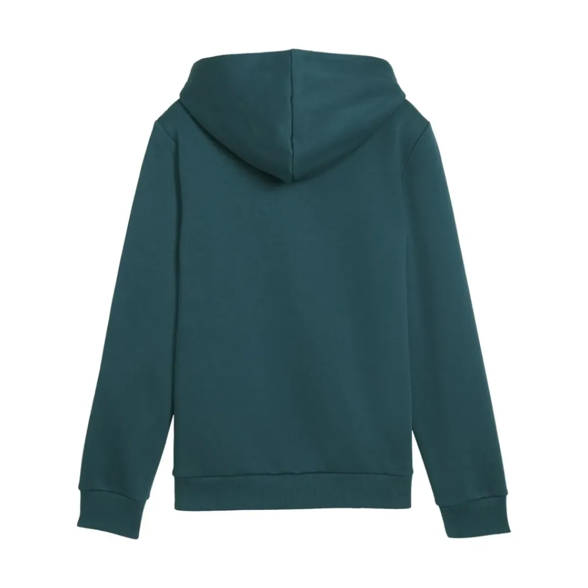 Puma - ESS+ 2 COL BIG LOGO HOODIE FL