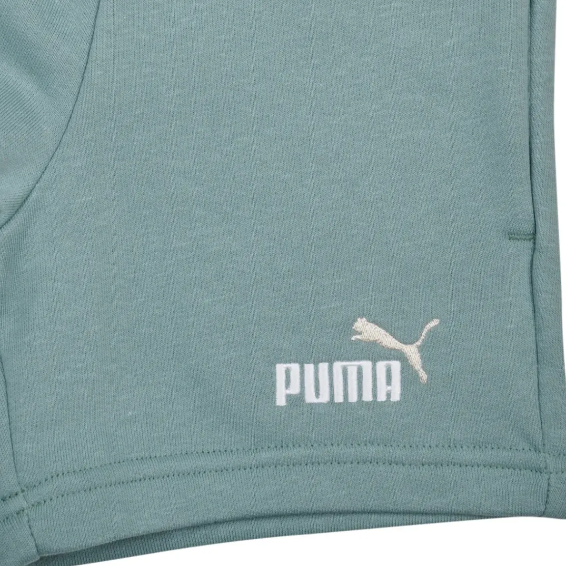 Puma - ESS 2 COLOR NO1 LOGO SHORTS