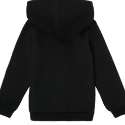Puma - ESSENTIAL BIG LOGO FZ HOODIE