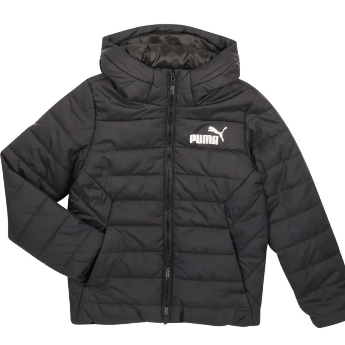 Puma - ESS HD PADDED JACKET