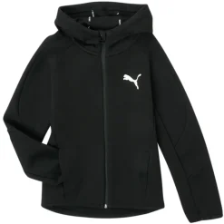 Puma - EVOSTRIPE CORE FZ HOODIE