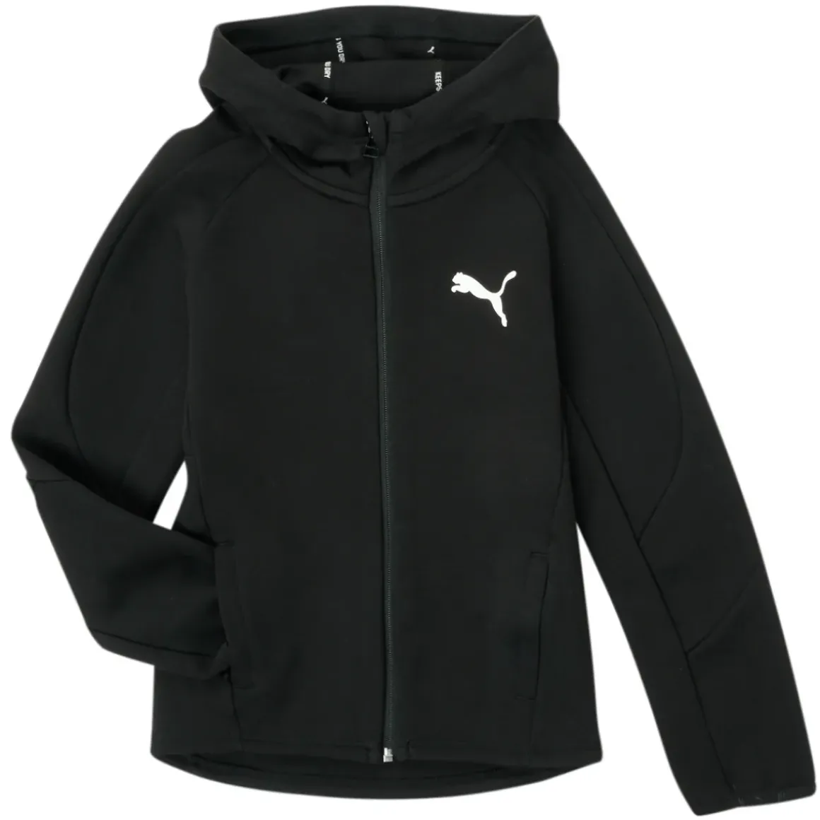 Puma - EVOSTRIPE CORE FZ HOODIE