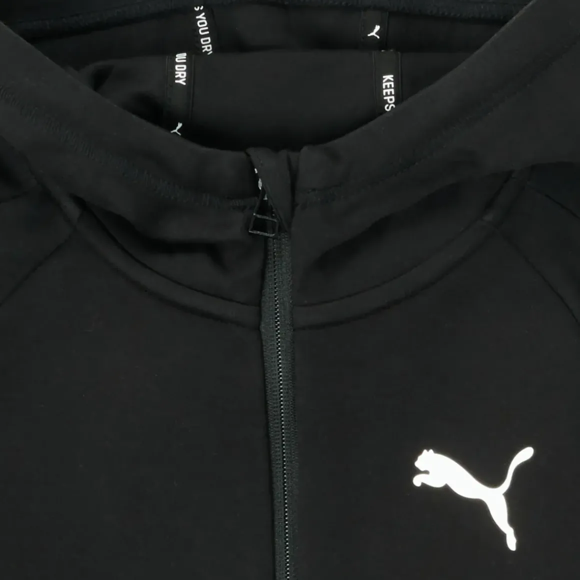 Puma - EVOSTRIPE CORE FZ HOODIE