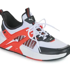 Puma - PACER+