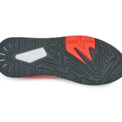 Puma - PACER+