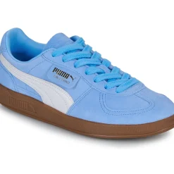 Puma - Palermo
