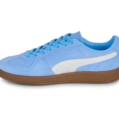 Puma - Palermo