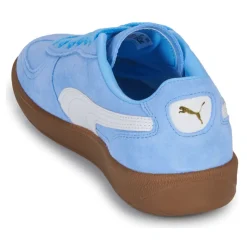 Puma - Palermo