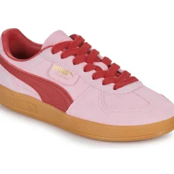 Puma - Palermo