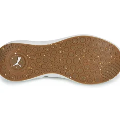 Puma - Softride Carson