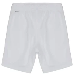 Puma - TEAMRISE SHORT