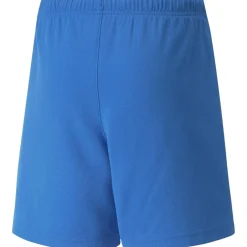 Puma - TEAMRISE SHORT