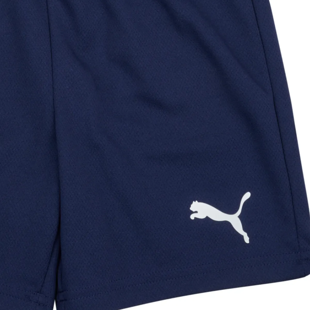 Puma - TEAMRISE SHORT