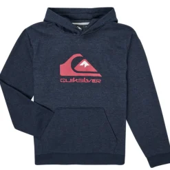 Quiksilver - BIG LOGO YOUTH