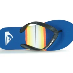 Quiksilver - MOLOKAI RESIN TINT