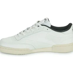 Reebok Classic - CLUB C 85