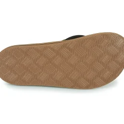 Reef - CUSHION DAWN