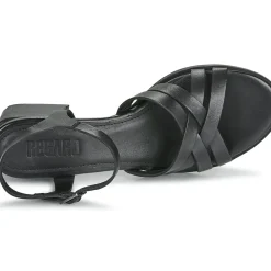 Regard - ET.EPI CRUST BLACK 2203