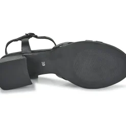 Regard - ET.EPI CRUST BLACK 2203