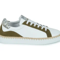 Regard - KERSAINT V3 CROSTA MILITARE