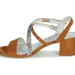 Regard - REFTA V1 ANTE CAMEL